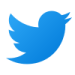 icons8-twitter-100.png